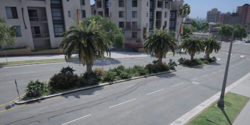 11 Road Vegetation MLO