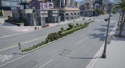 8 Road Vegetation MLO